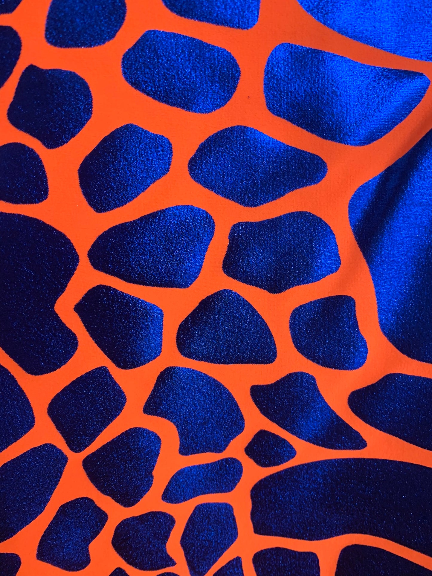 Orange and Blue Gator