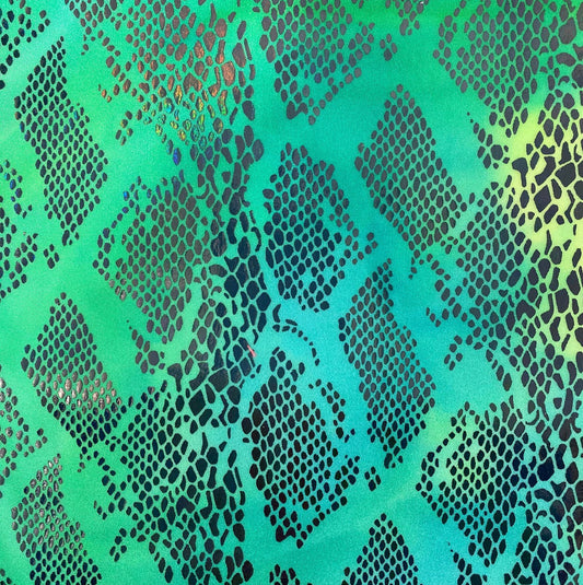 Snake Scales 4