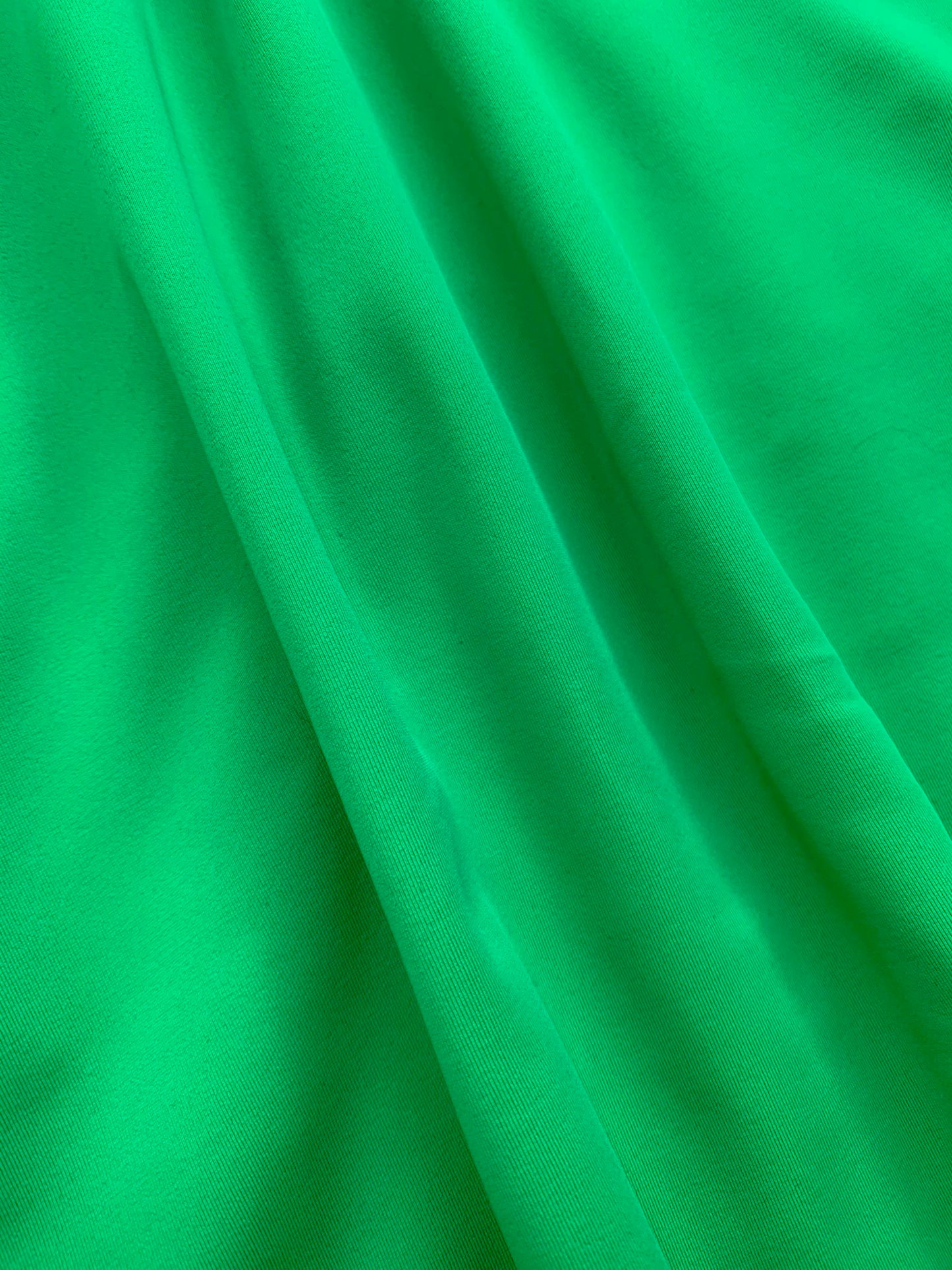 Parakeet Green Jersey